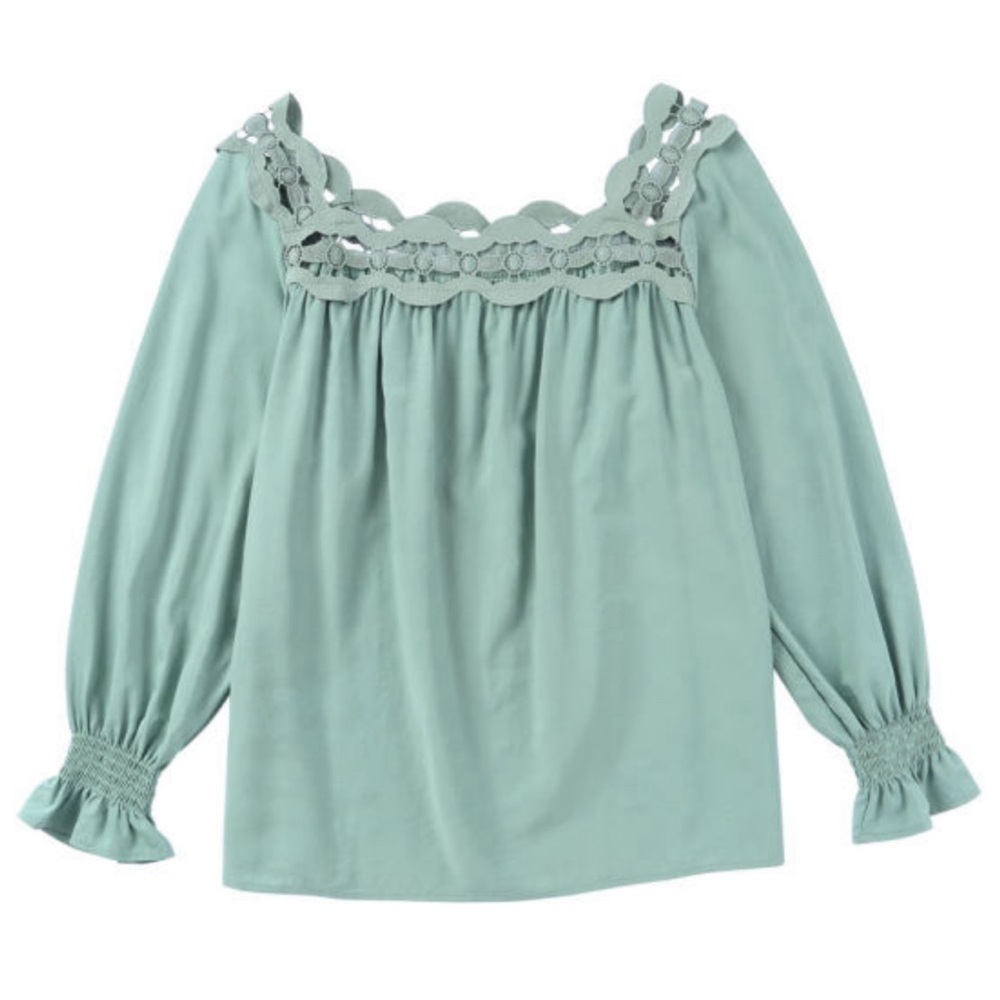 Scalloped Lace Neckline Blouse